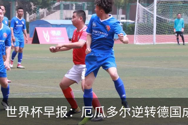 世界杯早报：厄瓜多尔逆转德国成功出线 科特迪瓦队史首次出线